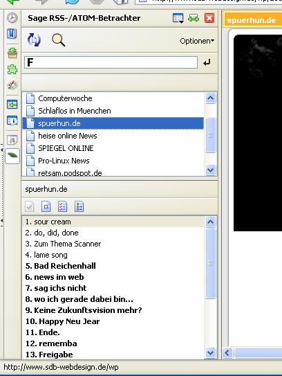 Sage eine RSS Erweiterung für Firefox Sage eine RSS Erweiterung für Firefox, bietet einen Menge an weitern RSS Feature als der Browser selbst.